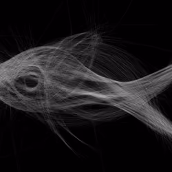 Underwater 31