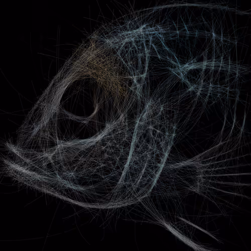 Underwaterartcollection