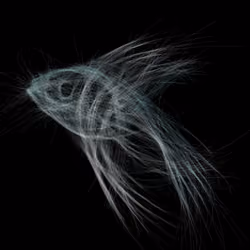 Underwater 28