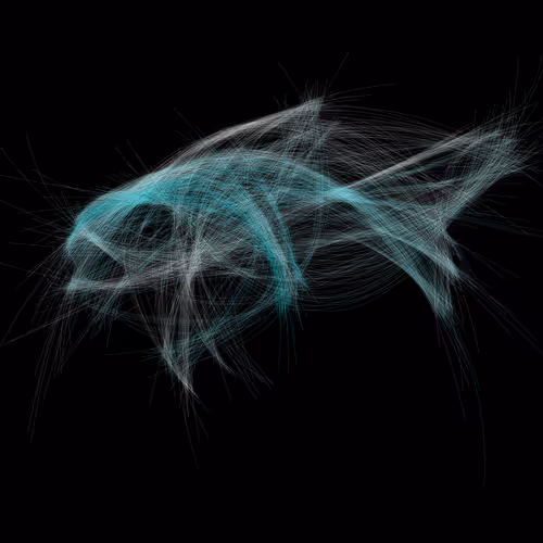 Underwaterartcollection