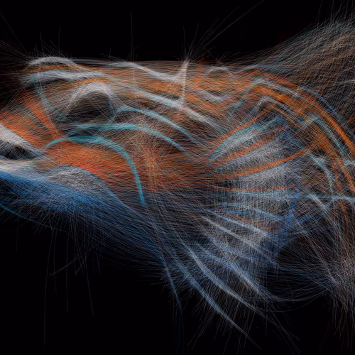 Underwaterartcollection