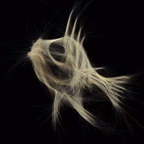Underwater 61