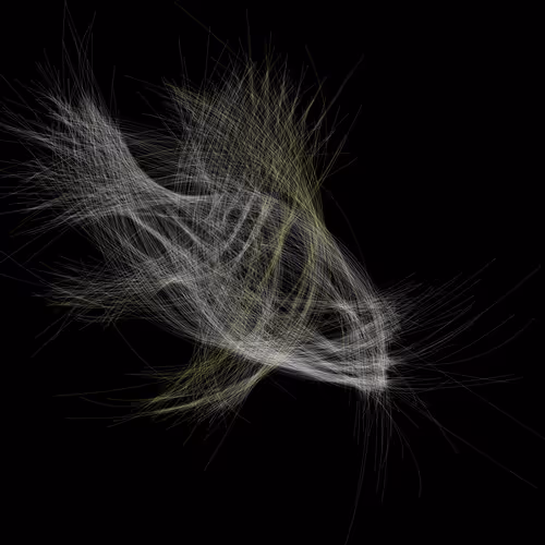 Underwaterartcollection