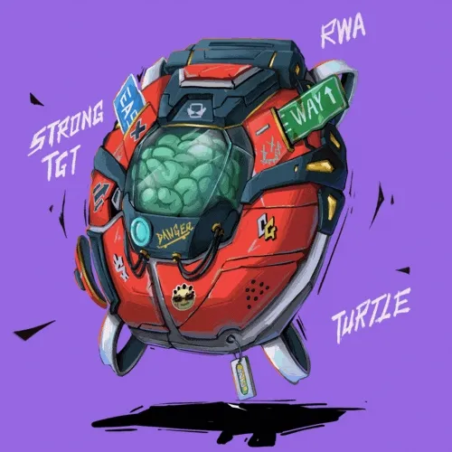 Fineturtle 13