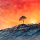 Burning Horizon