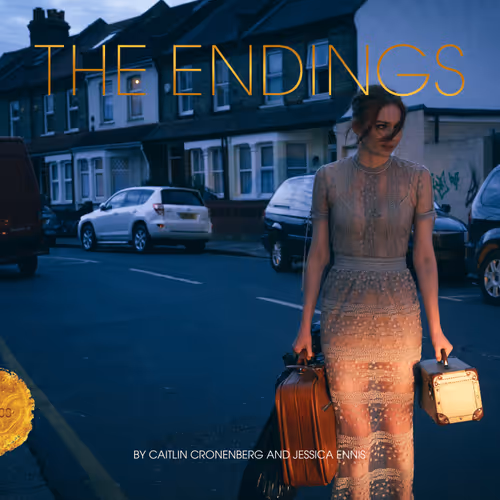 Theendingsbook