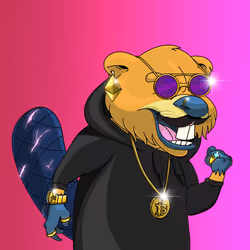 204