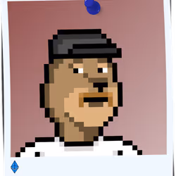 259