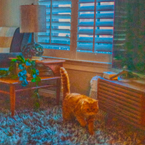 Photo A Day 2026 By David Lawrence