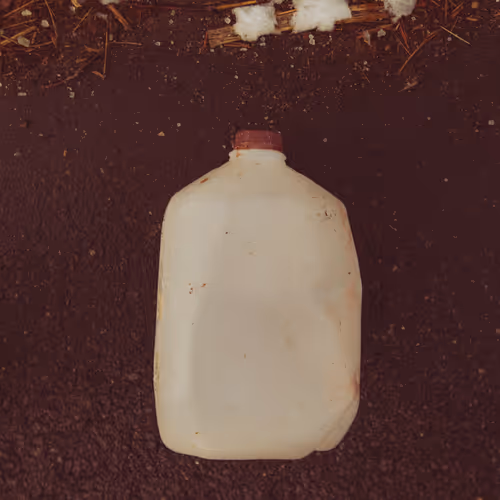 Photo A Day 2026 by David Lawrence