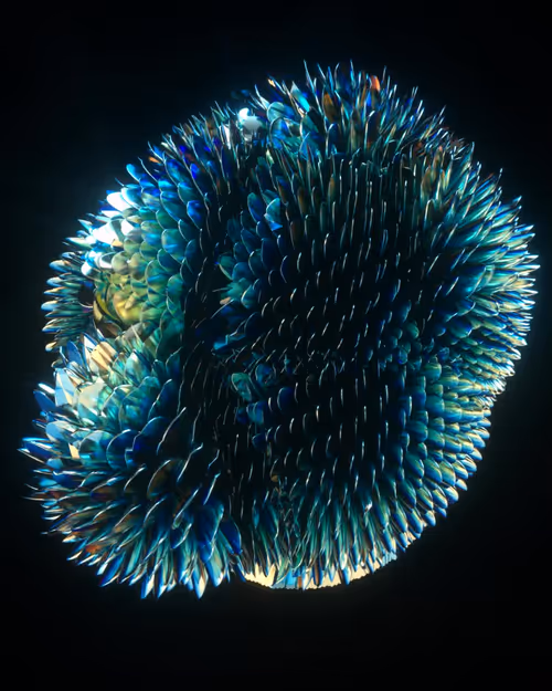 Item #35400020012 Media