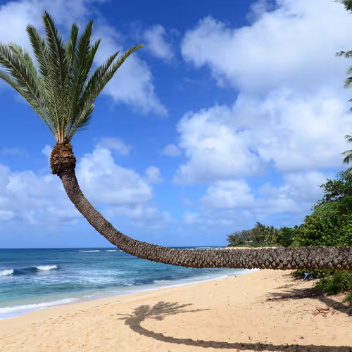 Postcards From Hawaii