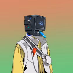 43