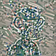 1294
