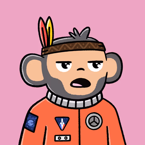 The Moonkysnft