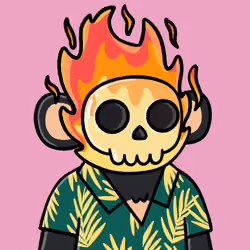 Moonky #1557