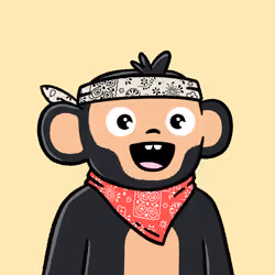 Moonky #1664
