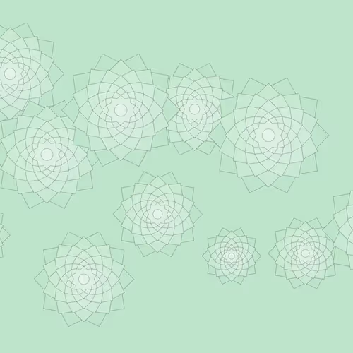 Schema By Drift With Jeff Davis