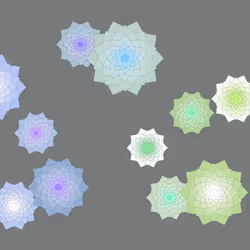 Schema #228