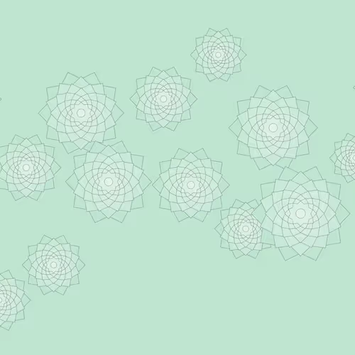 Schema By Drift With Jeff Davis