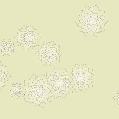 Schema By Drift With Jeff Davis