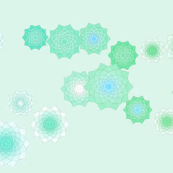 Schema #206
