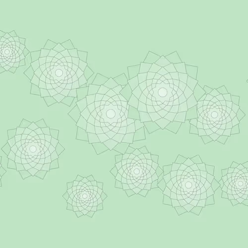 Schema #125
