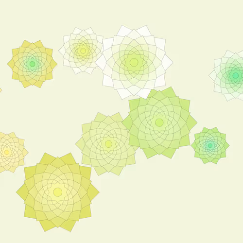 Schema By Drift With Jeff Davis