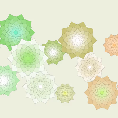 Schema By Drift With Jeff Davis