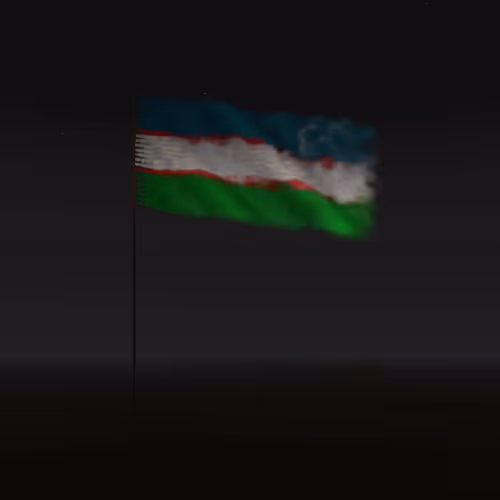 World Flag By John Gerrard