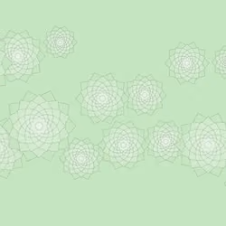 Schema #84