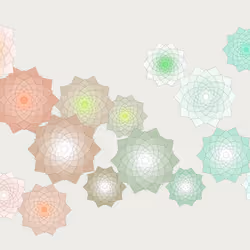 Schema #61