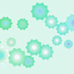 Schema #49