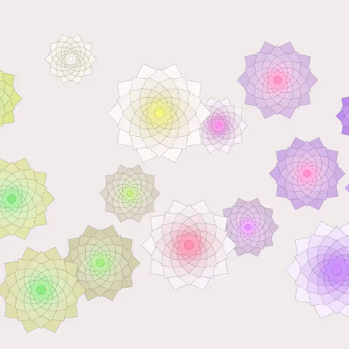 Schema By Drift With Jeff Davis