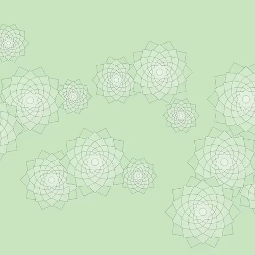 Schema By Drift With Jeff Davis