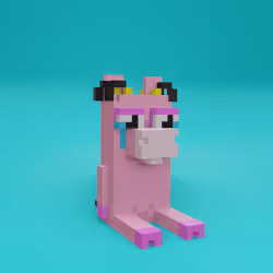 51