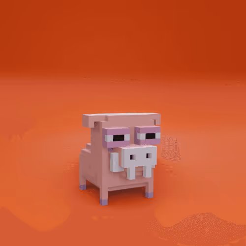 Item #5 Media