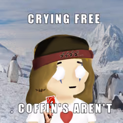 1153