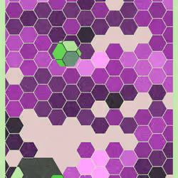 HIVE #312