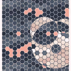 HIVE #334