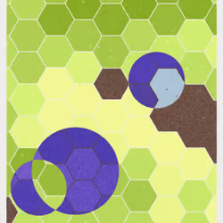 HIVE #317