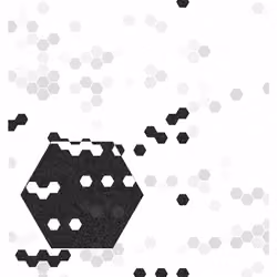 HIVE #242