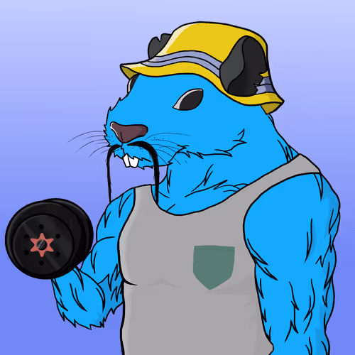Gym Ratz Fitness V3