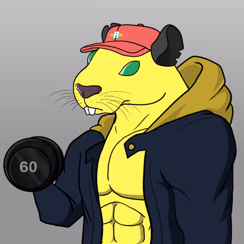 Gym Ratz Fitness V3