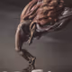 CHEWY STOLL