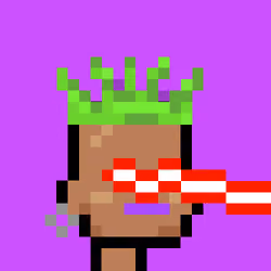 Junior Punks #4275