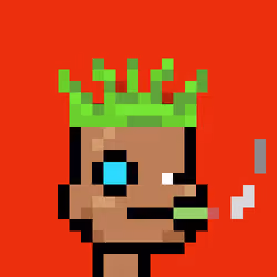 Junior Punks #4912