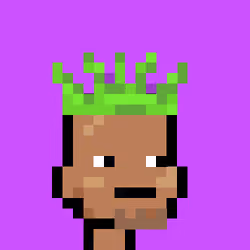 Junior Punks #2839