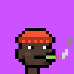 Junior Punks #1312