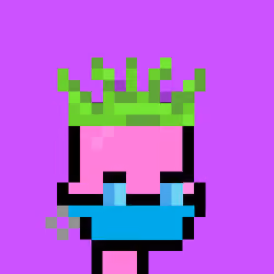 Junior Punks #781